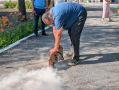 ������������ �������� � ���������� ������ � �������� ���������� ���������