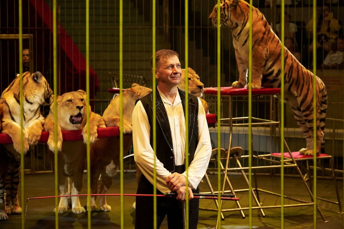 Более 1500 детей из Новосибирской, Саратовской и Брянской областей побывали в филиалах Росгосцирка благодаря акции «Цирк – детям села» Более 1500 детей из Новосибирской, Саратовской и Брянской областей побывали в филиалах Росгосцирка благодаря акции «Цирк – детям села»