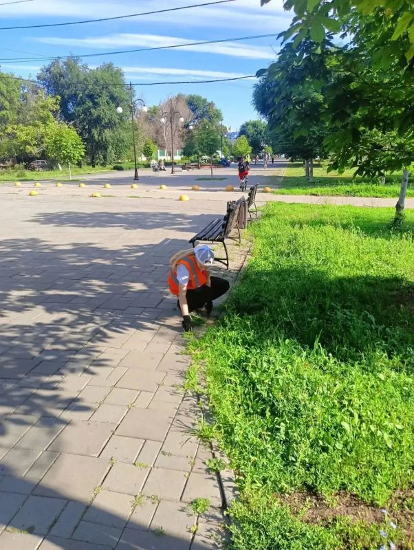 В Балаково "Комбинат благоустройства" приводит в порядок улицы, скверы и парки В Балаково "Комбинат благоустройства" приводит в порядок улицы, скверы и парки