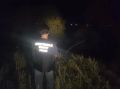 � ����������� ������� ��������������� �������������� ������ ������� �� �������