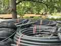Благоустройство Городского парка культуры и отдыха продолжается