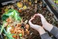 Как ускорить компостирование: секреты эффективного разложения остатков