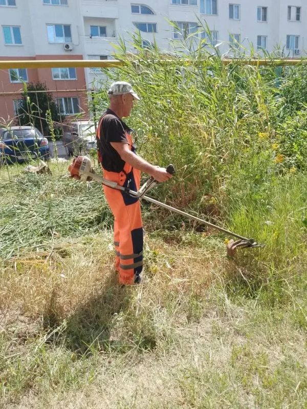 Покос камыша и сорной растительности Сотрудники МКУ «Городское хозяйство» ежедневно проводят работы по покосу камыша, используя как ручной, так и механизированный способы Покос камыша и сорной растительности Сотрудники МКУ «Городское хозяйство» ежедневно проводят работы по покосу камыша, используя как ручной, так и механизированный способы