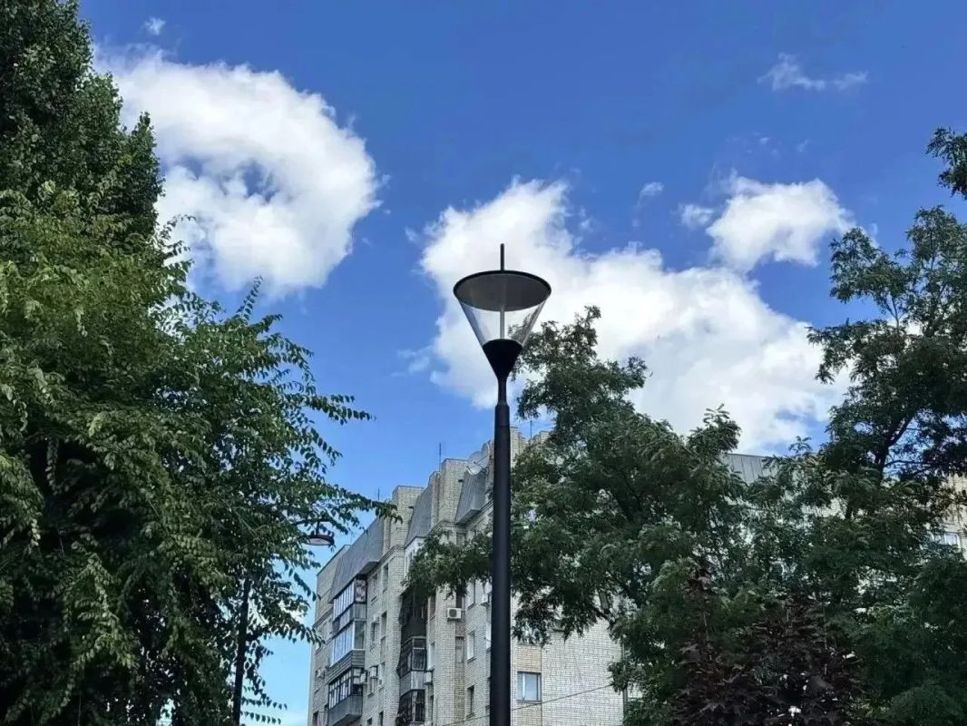 В Городском парке Саратова появятся клумбы с шалфеем В Городском парке Саратова появятся клумбы с шалфеем