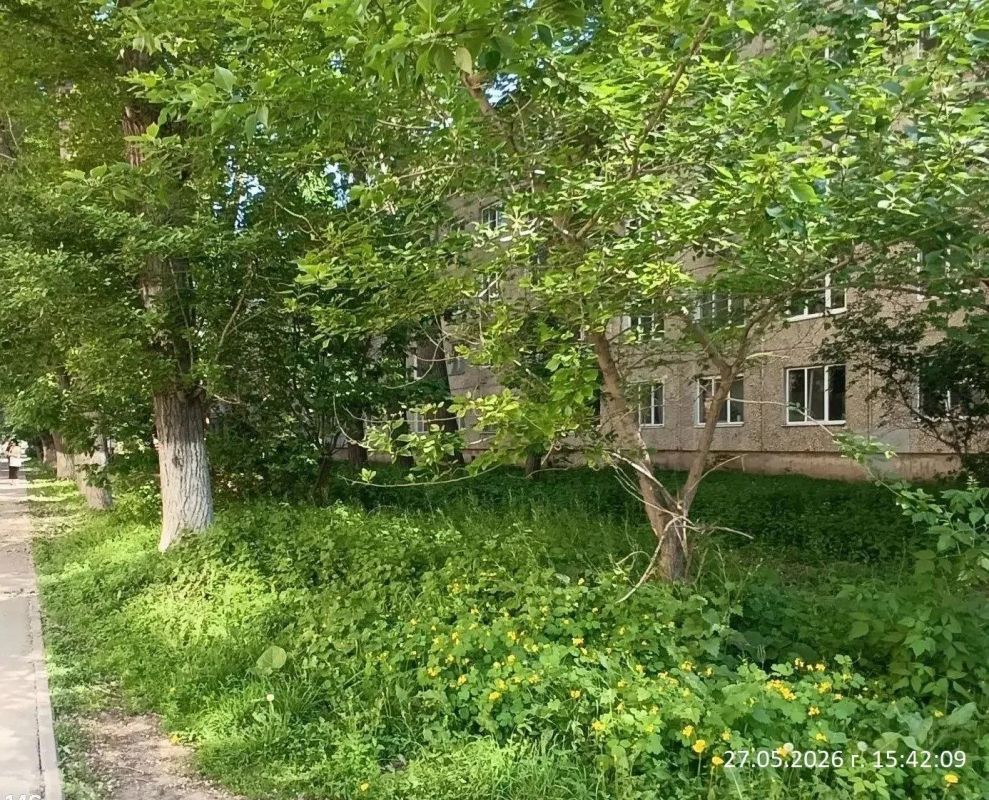 По поручению главы района Максима Леонова в Энгельсе усилена работа с управляющими компаниями по покосу сорной растительности во дворах многоквартирных домов По поручению главы района Максима Леонова в Энгельсе усилена работа с управляющими компаниями по покосу сорной растительности во дворах многоквартирных домов