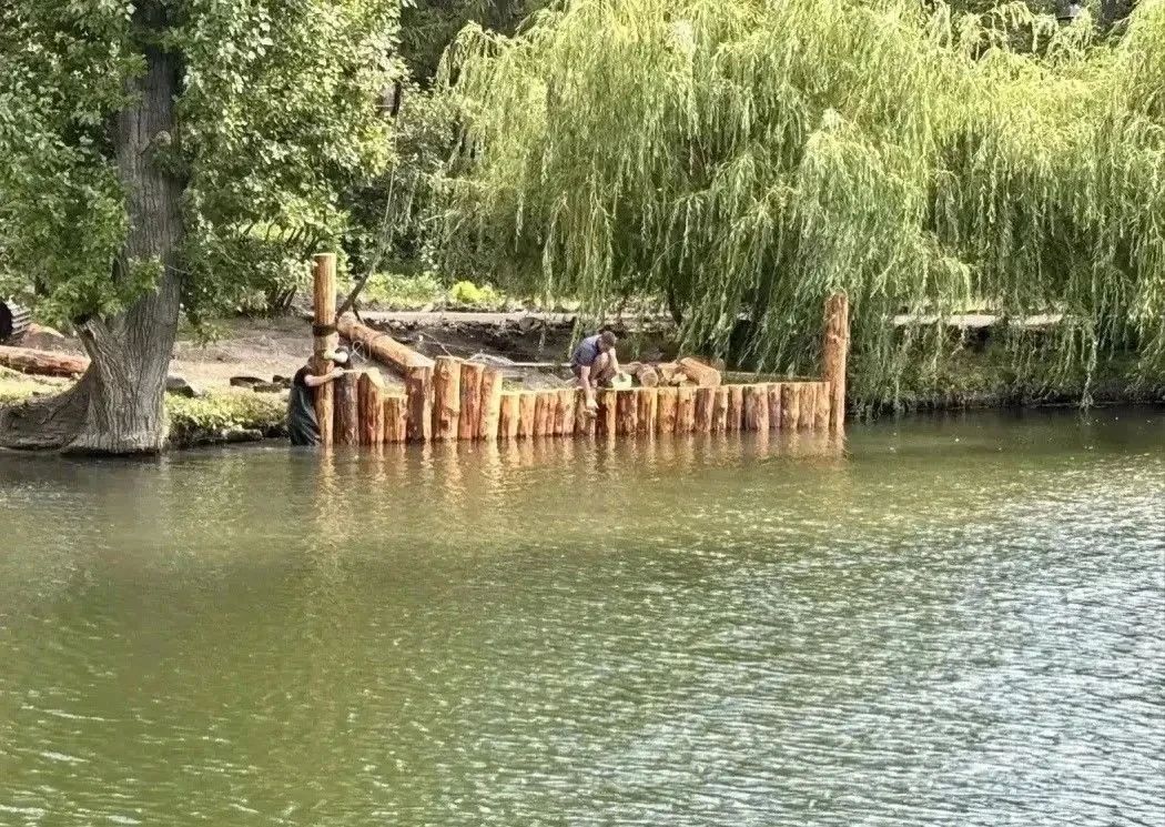 В Городском парке Саратова появятся клумбы с шалфеем В Городском парке Саратова появятся клумбы с шалфеем