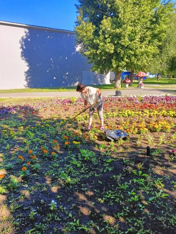 В Балаково в ежедневном режиме ведутся работы по благоустройству и очистке улиц В Балаково в ежедневном режиме ведутся работы по благоустройству и очистке улиц