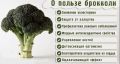 Как сделать рыбу любимым блюдом вашего ребенка: фрикадельки из минтая с брокколи