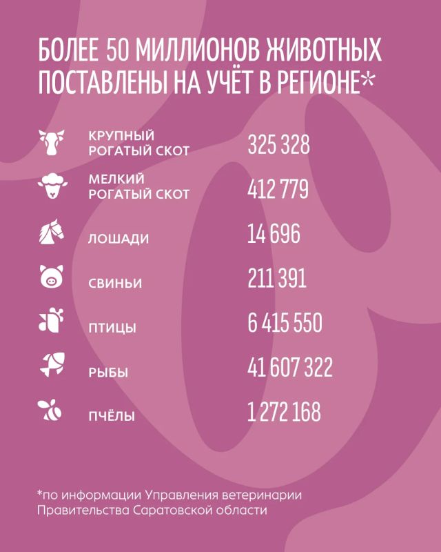 Маркируем животных. В России продолжается масштабная работа по обязательному маркированию и учёту животных, начатая в 2024 году Маркируем животных. В России продолжается масштабная работа по обязательному маркированию и учёту животных, начатая в 2024 году