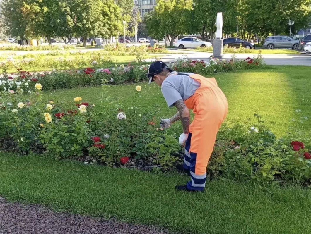 Уборка города. Коммунальные службы осуществляют уборку дорог и тротуаров, мойку и ремонт остановочных павильонов, уход за зелеными зонами, подбор мусора, а также ремонт дорожных знаков и ограждений Уборка города. Коммунальные службы осуществляют уборку дорог и тротуаров, мойку и ремонт остановочных павильонов, уход за зелеными зонами, подбор мусора, а также ремонт дорожных знаков и ограждений