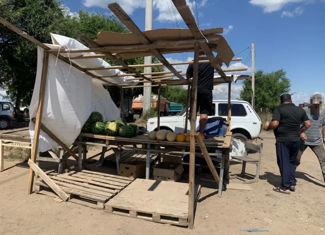 В Энгельсском районе ликвидировали точку незаконной торговли бахчевыми В Энгельсском районе ликвидировали точку незаконной торговли бахчевыми