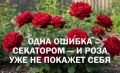 ��� ��������� �������� ��������� ���� ������� �����: ������ �� ������� ����������