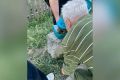 � �������� ������������ ���������-�������� ������ �������� ������������� � �������� ������������ ����������