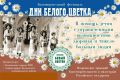 Епархиальный благотворительный фестиваль «Дни белого цветка» пройдет в парке «Энергетик» 24 июля