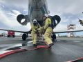 � "��������" ������ �������