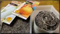 Секреты успешного выращивания лука: советы для садоводов