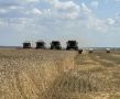 Аграрии Энгельсского района намолотили свыше 100 тысяч тонн зерна