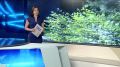 Доброе утро!. Начинаем день с самого первого выпуска «Вестей»