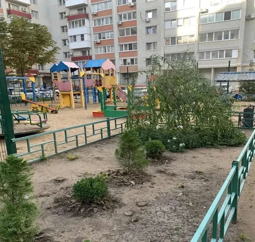 Вопрос озеленения городских территорий в осенний период обсудили на еженедельном штабе по благоустройству Вопрос озеленения городских территорий в осенний период обсудили на еженедельном штабе по благоустройству