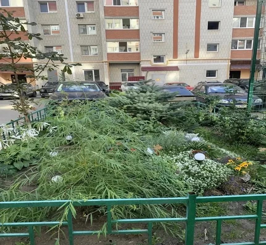 Вопрос озеленения городских территорий в осенний период обсудили на еженедельном штабе по благоустройству Вопрос озеленения городских территорий в осенний период обсудили на еженедельном штабе по благоустройству