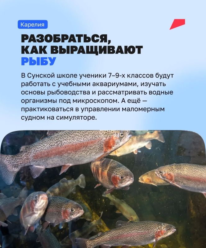 От школьного кабинета до будущей профессии От школьного кабинета до будущей профессии