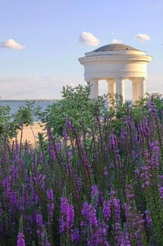 Прогноз погоды на 4 сентября в Саратовской области Прогноз погоды на 4 сентября в Саратовской области