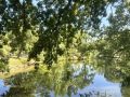 Саратов в кадре