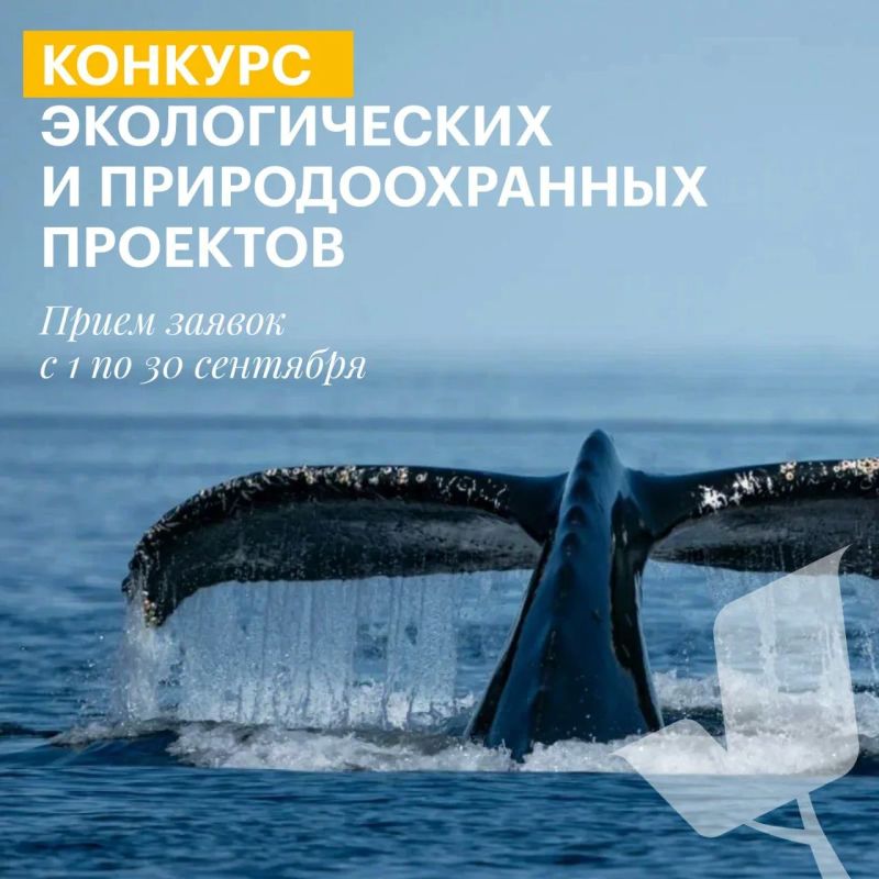 Саратовцев приглашают принять участие в конкурсе экологических и природоохранных проектов Саратовцев приглашают принять участие в конкурсе экологических и природоохранных проектов