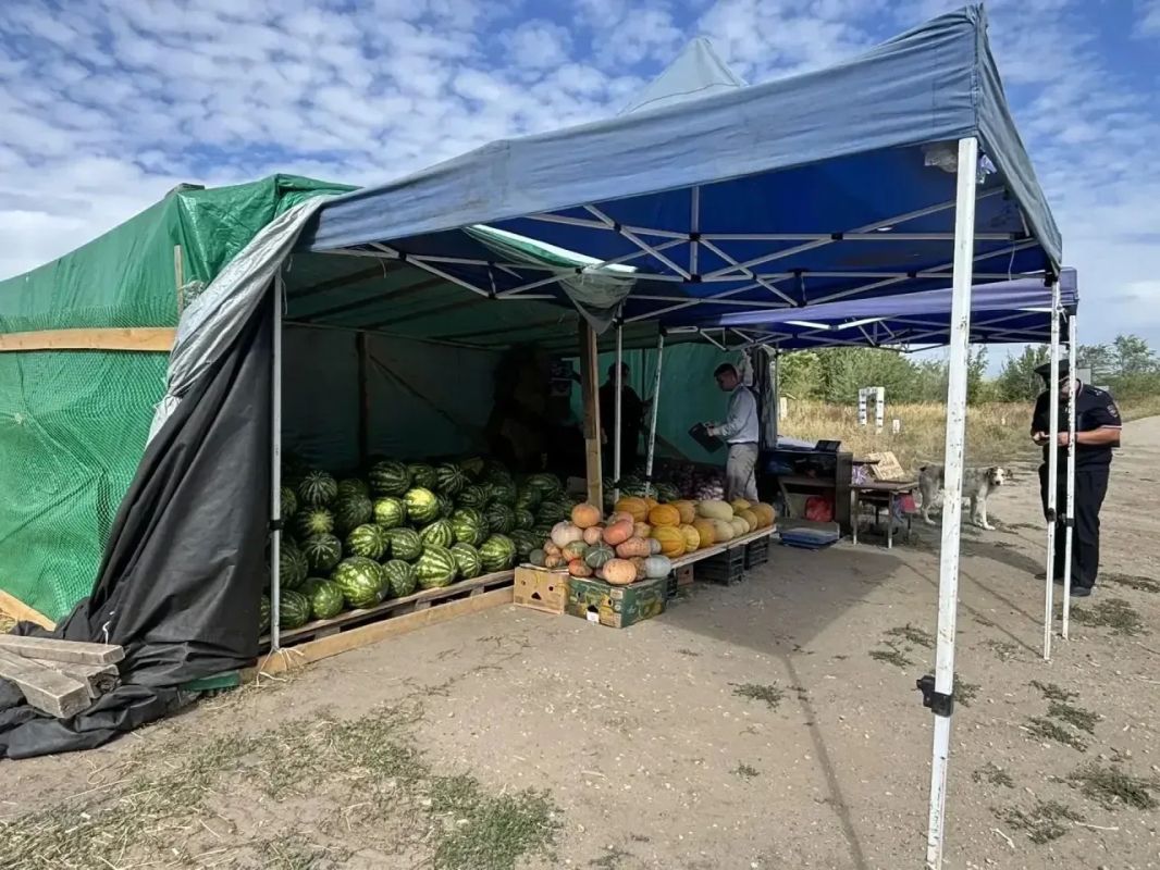 Уличная торговля должна реализоваться в специально отведенных для этого местах Уличная торговля должна реализоваться в специально отведенных для этого местах