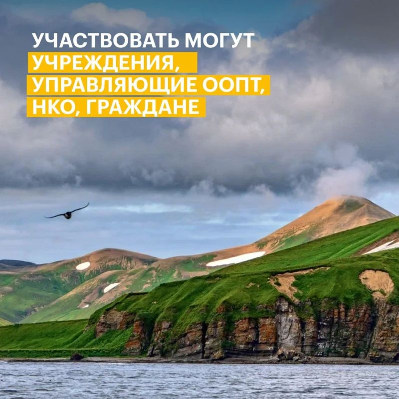 Саратовцев приглашают принять участие в конкурсе экологических и природоохранных проектов Саратовцев приглашают принять участие в конкурсе экологических и природоохранных проектов