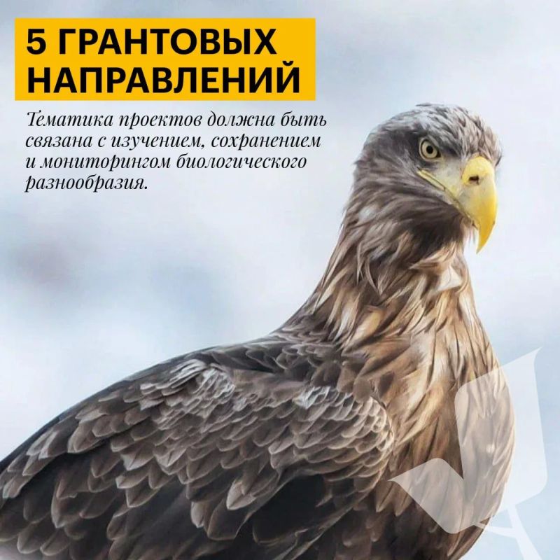 Саратовцев приглашают принять участие в конкурсе экологических и природоохранных проектов Саратовцев приглашают принять участие в конкурсе экологических и природоохранных проектов