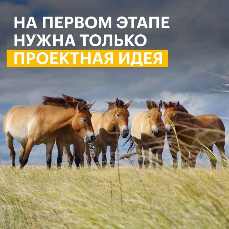 Саратовцев приглашают принять участие в конкурсе экологических и природоохранных проектов Саратовцев приглашают принять участие в конкурсе экологических и природоохранных проектов