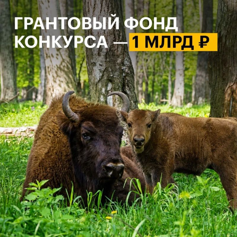 Саратовцев приглашают принять участие в конкурсе экологических и природоохранных проектов Саратовцев приглашают принять участие в конкурсе экологических и природоохранных проектов