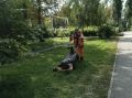 Уборка города. Коммунальные службы осуществляют уборку дорог и тротуаров, мойку и ремонт остановочных павильонов, уход за зелеными зонами, подбор мусора, а также ремонт дорожных знаков и ограждений