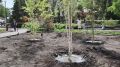 Более 14 тысяч растений высадят в Городском парке Саратова