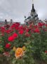 Один из входов в сад "Липки" временно закрыт