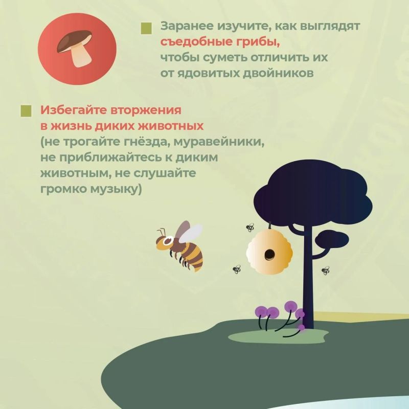 «Тихая охота» или поход за грибами – распространенное времяпрепровождение в летне-осенний период «Тихая охота» или поход за грибами – распространенное времяпрепровождение в летне-осенний период