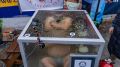 «Король холода» выдержал больше часа в ледяной воде