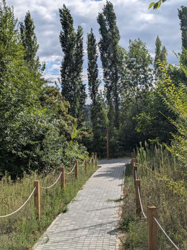 Прогулка по Ботаническому саду Прогулка по Ботаническому саду