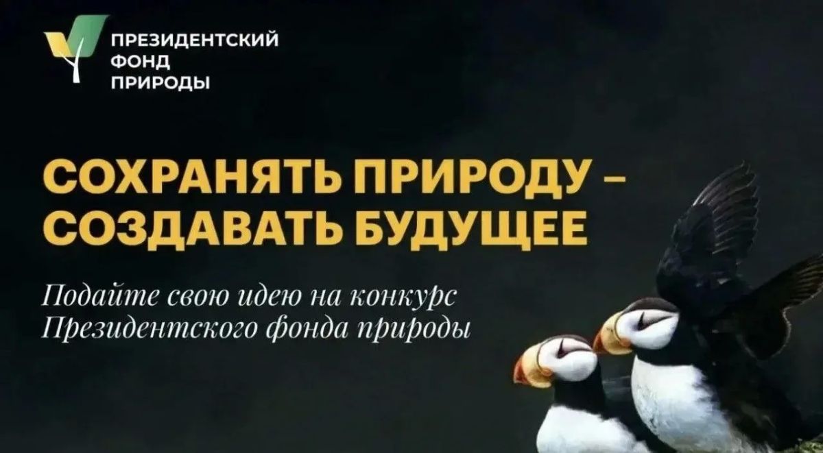 Жителей Саратовской обалсти приглашают принять участие в конкурсе экологических и природоохранных проектов
