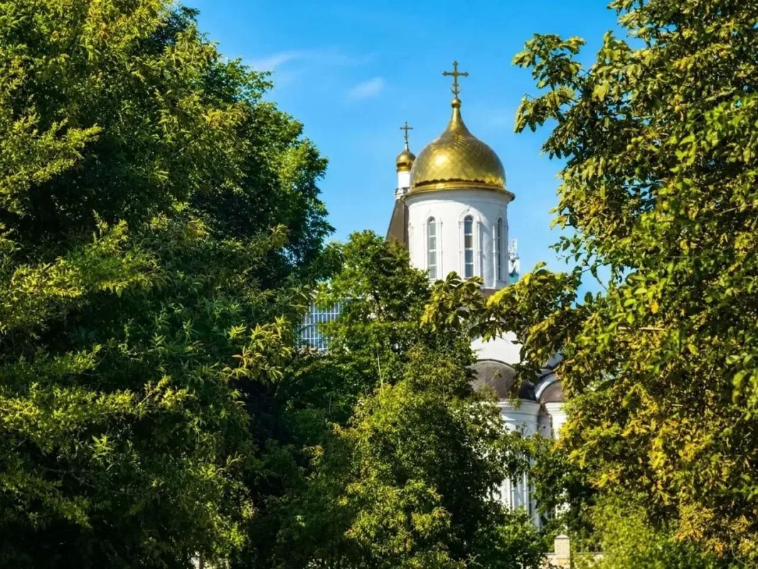 Саратов в кадре Саратов в кадре