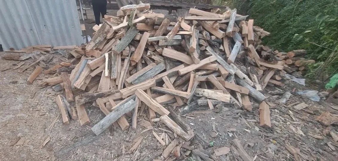 За незаконную вырубку более ста деревьев житель Саратова стал фигурантом уголовного дела За незаконную вырубку более ста деревьев житель Саратова стал фигурантом уголовного дела