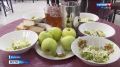 Школьные столовые Балаковского района переживают масштабную перезагрузку