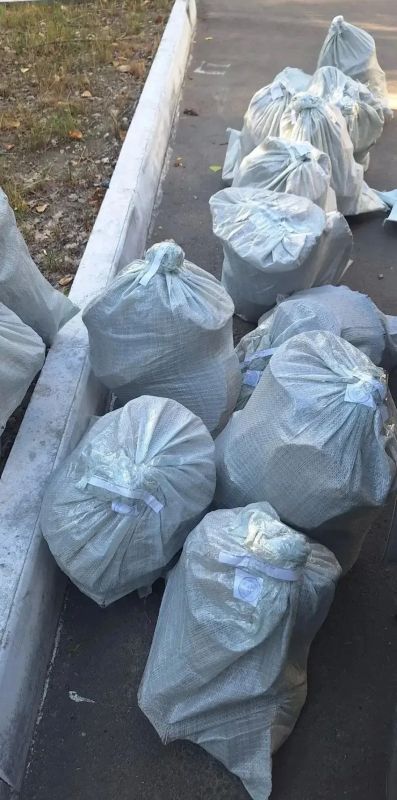 За незаконную вырубку более ста деревьев житель Саратова стал фигурантом уголовного дела За незаконную вырубку более ста деревьев житель Саратова стал фигурантом уголовного дела