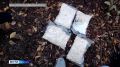 Нелегал из Европы трудился в подпольной лаборатории в Саратовской области