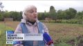 Сегодня в Саратове стартовали экскурсии по второй части Ботанического сада, которую открыли совсем недавно после реконструкции