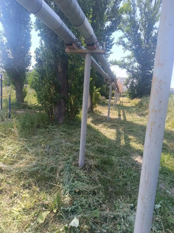В Энгельсе по поручению главы района Максима Леонова продолжается работа по благоустройству территорий вблизи объектов ресурсоснабжающих организаций В Энгельсе по поручению главы района Максима Леонова продолжается работа по благоустройству территорий вблизи объектов ресурсоснабжающих организаций