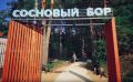 В Лысых Горах непроходимый сосновый бор превратили в зону отдыха