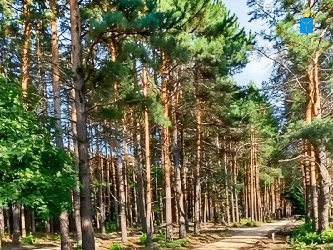 В Лысых Горах обустроили новую парковую территорию - Сосновый бор В Лысых Горах обустроили новую парковую территорию - Сосновый бор
