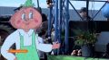 Доброе утро!. Начинаем день с самого первого выпуска «Вестей»